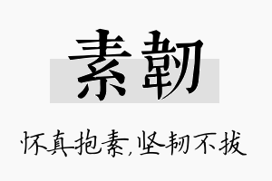 素韧名字的寓意及含义