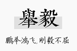 举毅名字的寓意及含义