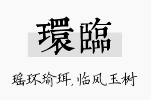 环临名字的寓意及含义