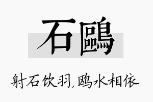 石鸥名字的寓意及含义