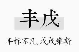 丰戊名字的寓意及含义