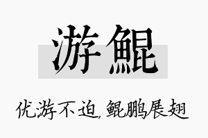 游鲲名字的寓意及含义