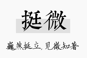 挺微名字的寓意及含义