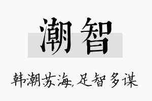 潮智名字的寓意及含义