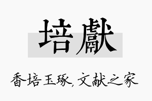 培献名字的寓意及含义