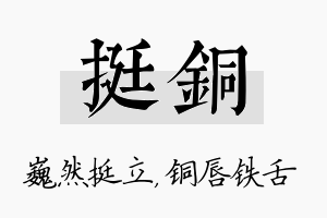 挺铜名字的寓意及含义