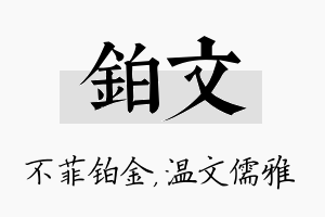 铂文名字的寓意及含义