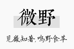 微野名字的寓意及含义