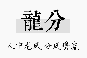 龙分名字的寓意及含义