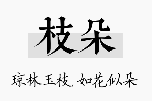 枝朵名字的寓意及含义