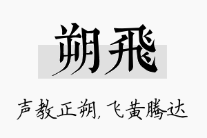 朔飞名字的寓意及含义