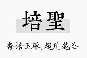 培圣名字的寓意及含义