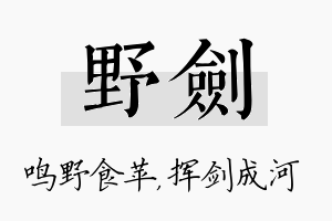 野剑名字的寓意及含义