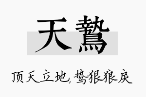 天鸷名字的寓意及含义