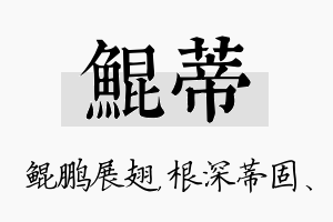 鲲蒂名字的寓意及含义