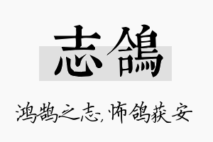 志鸽名字的寓意及含义