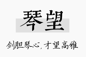 琴望名字的寓意及含义