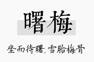 曙梅名字的寓意及含义