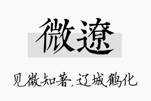 微辽名字的寓意及含义