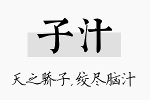 子汁名字的寓意及含义