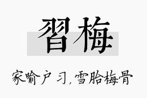 习梅名字的寓意及含义