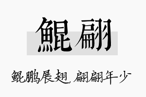 鲲翩名字的寓意及含义