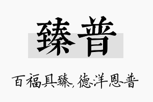 臻普名字的寓意及含义