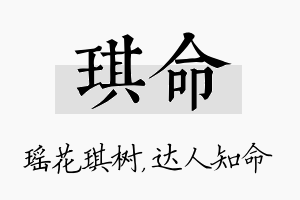 琪命名字的寓意及含义