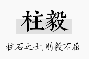 柱毅名字的寓意及含义