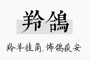 羚鸽名字的寓意及含义