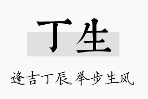 丁生名字的寓意及含义