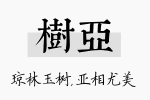 树亚名字的寓意及含义