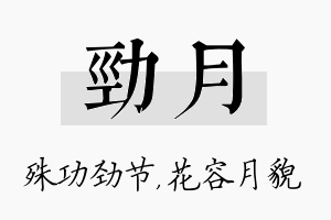 劲月名字的寓意及含义