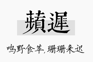 苹迟名字的寓意及含义