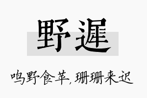 野迟名字的寓意及含义