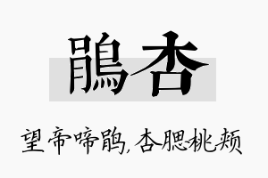 鹃杏名字的寓意及含义