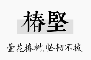 椿坚名字的寓意及含义