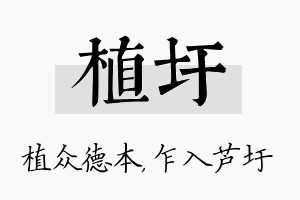 植圩名字的寓意及含义