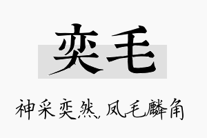 奕毛名字的寓意及含义