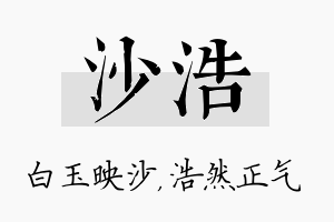 沙浩名字的寓意及含义