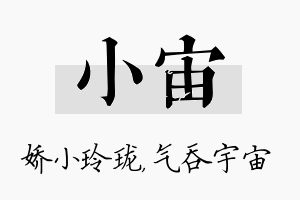 小宙名字的寓意及含义