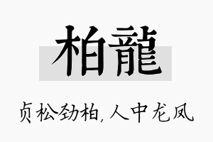 柏龙名字的寓意及含义