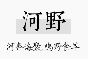 河野名字的寓意及含义