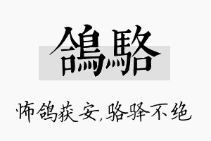 鸽骆名字的寓意及含义