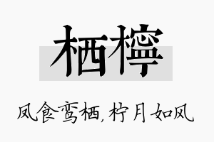 栖柠名字的寓意及含义