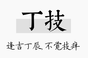 丁技名字的寓意及含义