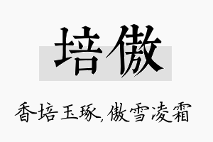 培傲名字的寓意及含义