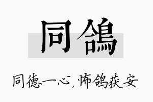 同鸽名字的寓意及含义