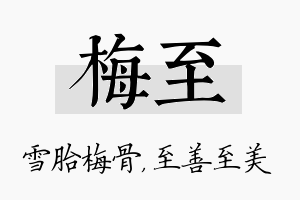 梅至名字的寓意及含义