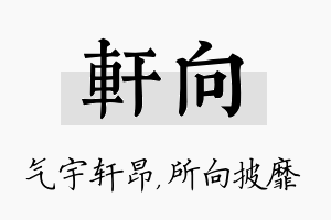 轩向名字的寓意及含义